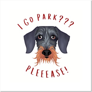 I Go Park? Posters and Art